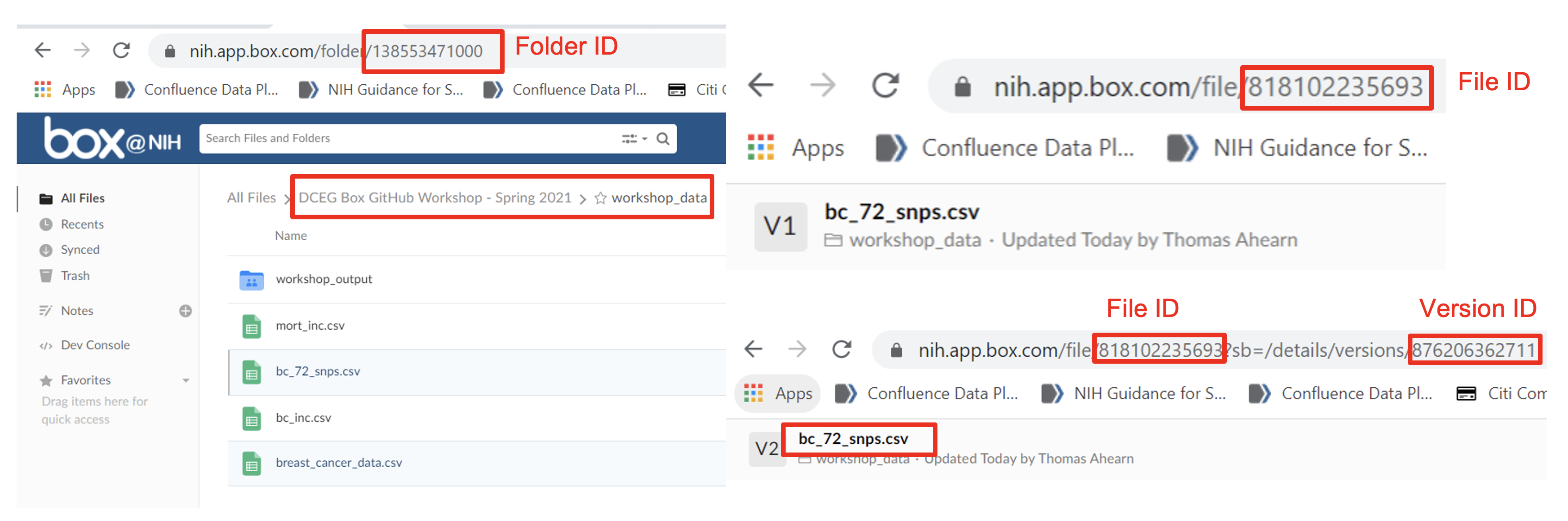 Box interface showing that it assigns a unique URL for each object stored there