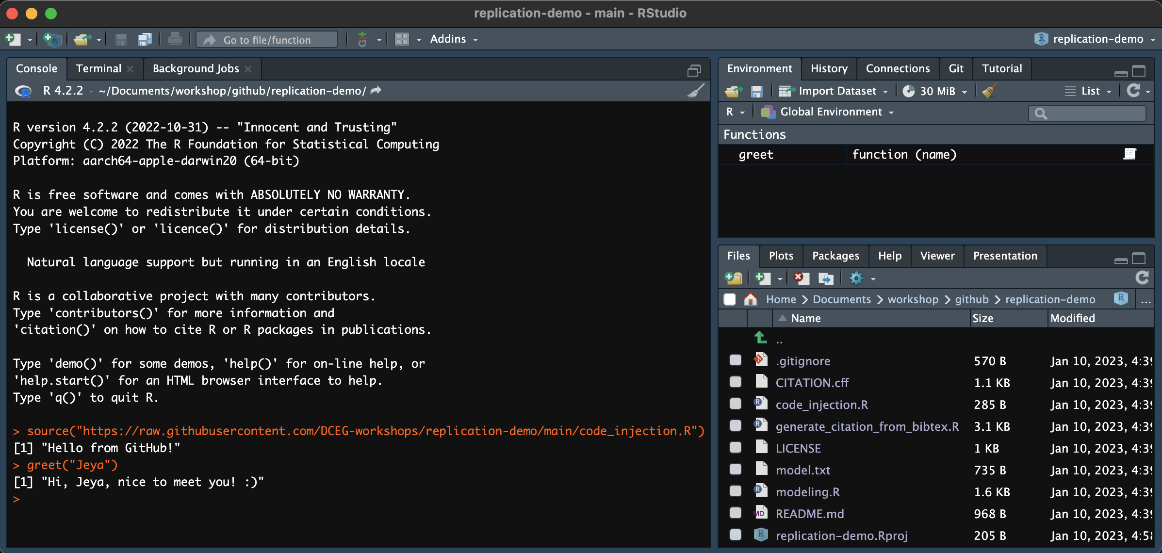 RStudio Console window sourcing code_injection.R