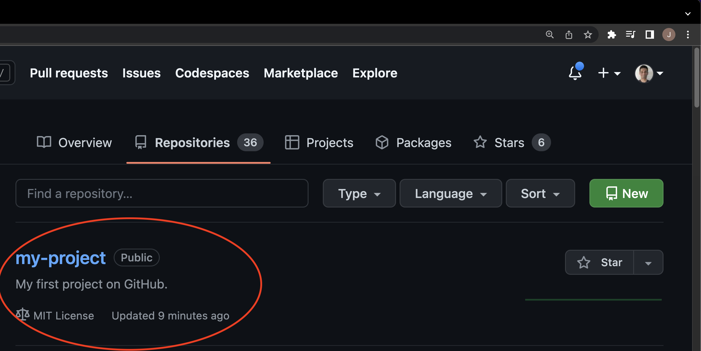GitHub web page with a list of your repositories