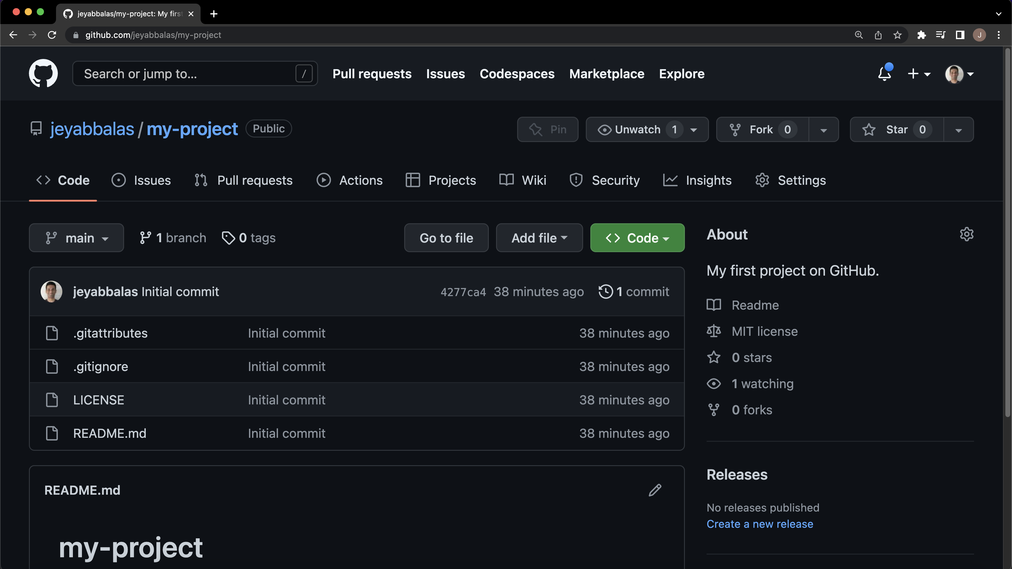 GitHub web page with the repository details